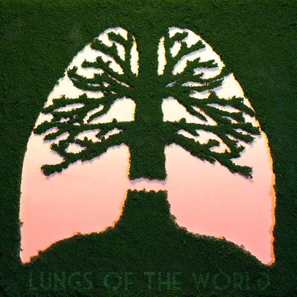 Lungs of the&nbsp;World