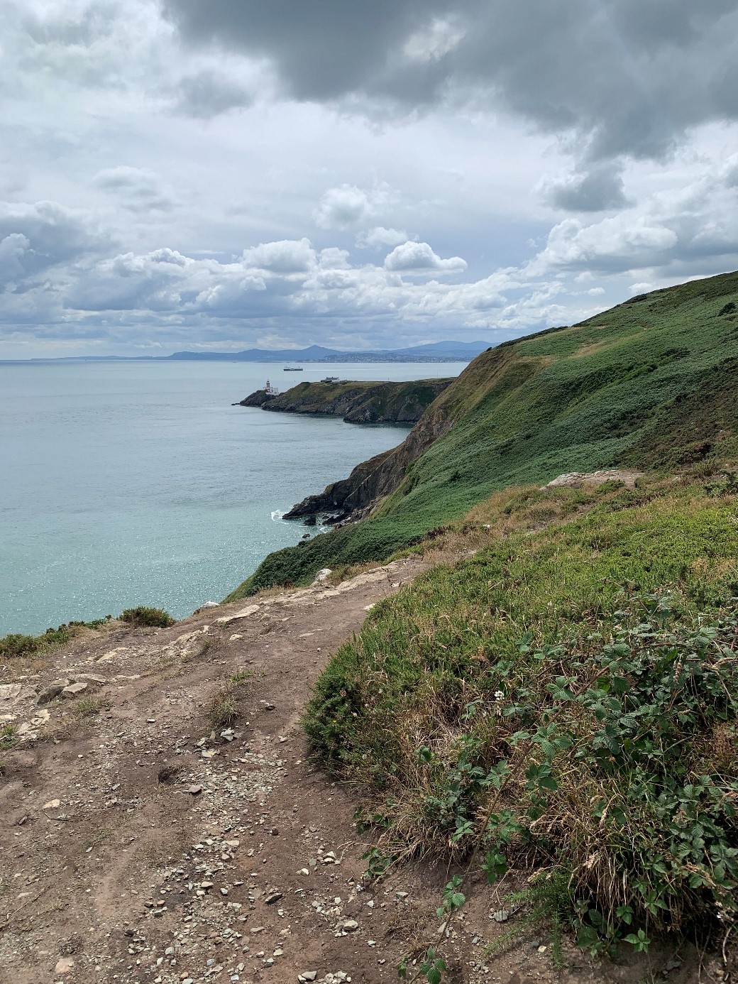 Nature Conservation in&nbsp;Howth
