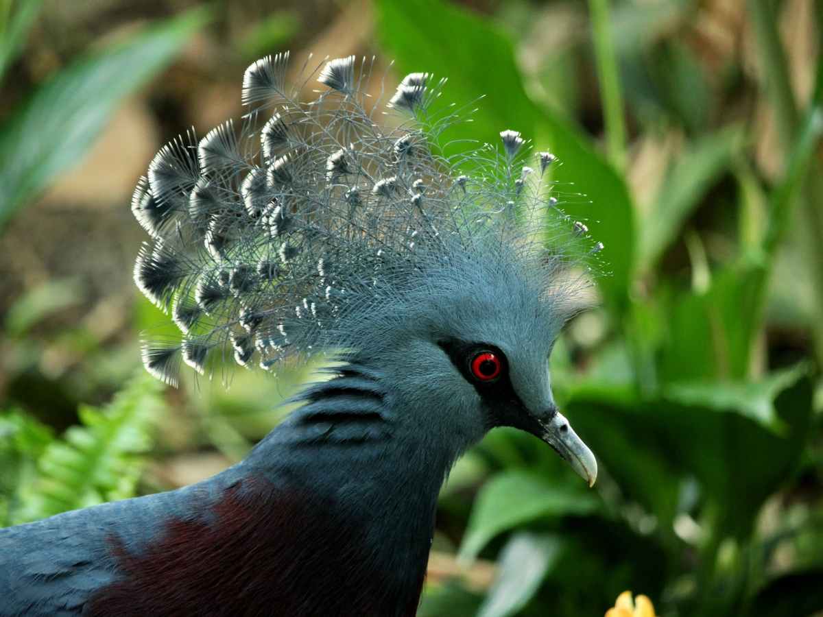 Research Library –&nbsp;Conservation